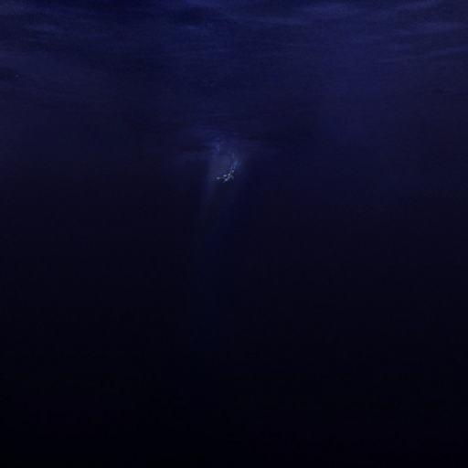 Said The Sky: Salt & Silence